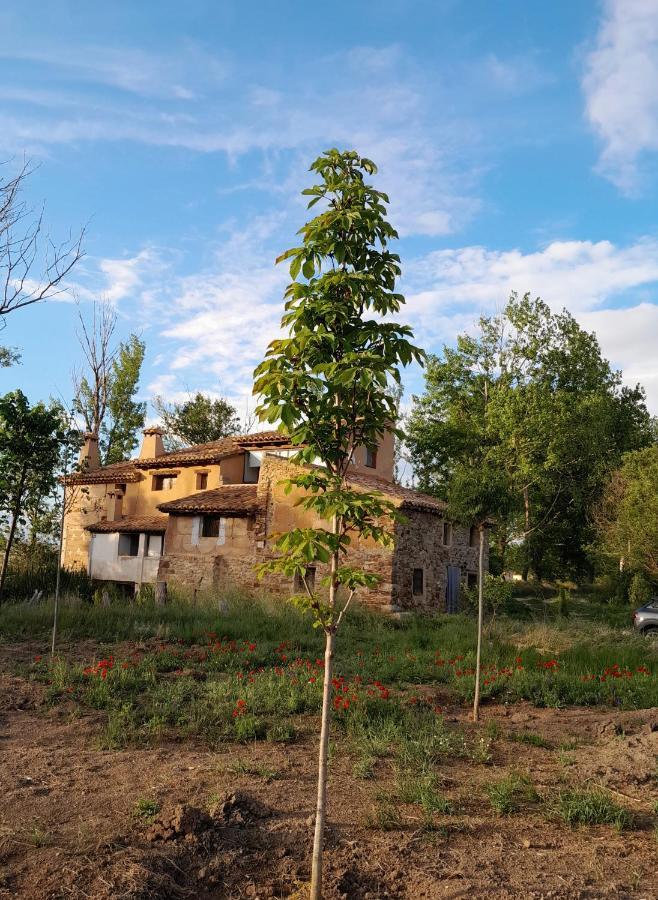 Molino Del Buho ξενώνας Torre la Cárcel Εξωτερικό φωτογραφία